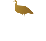 Macuco Tech Ventures & Consulting