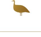 Macuco Tech Ventures & Consulting